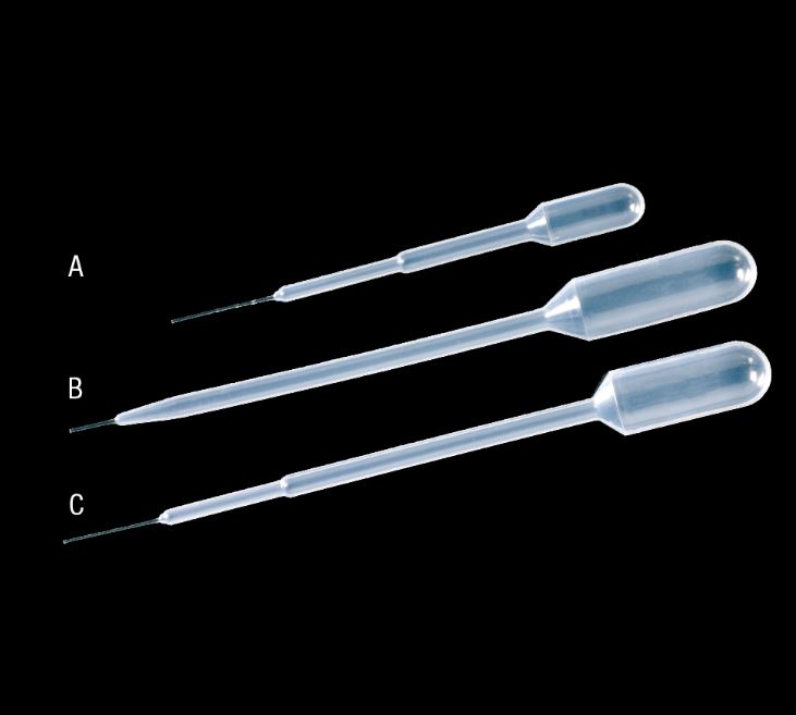 PIPETA PASTEUR PLASTICO 5 ML (500)