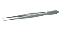 PINZA DISECCION 145 MM RECTA PUNTA FINA 