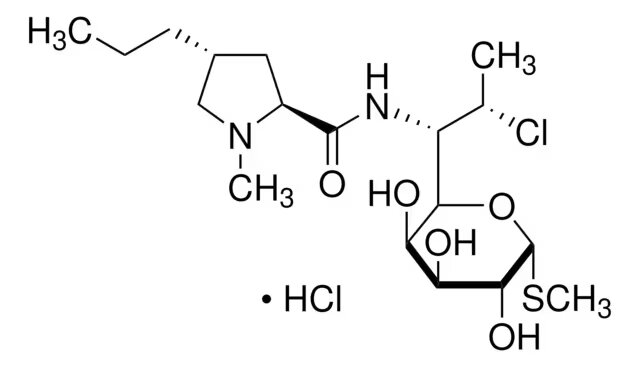 CLINDAMICINA HCL REFERENCE STANDARD