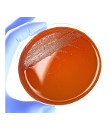 PLATE COUNT AGAR (PCA) CROMOGENICO (500)