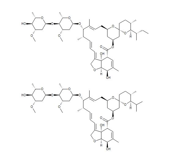 IVERMECTIN 100MG