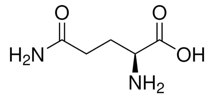 GLUTAMINA (L-) SOLUCION (100)