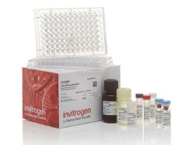 IL-6 MOUSE UNCOATED  ELISA Kit (10 X 96)