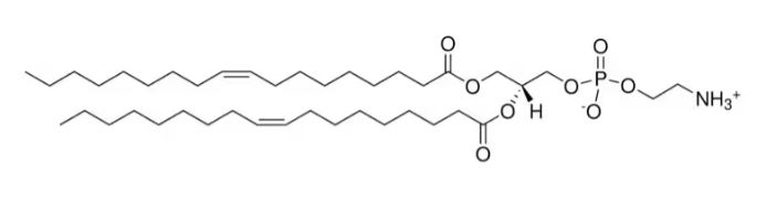 18:1 (Δ9-Cis) PE (DOPE) (1 G)