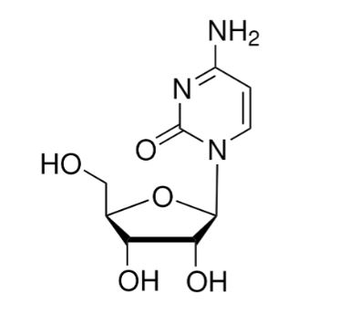 CYTIDINE (1 GR)