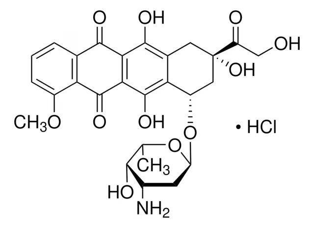 DOXORUBICIN HYDROCLHORIDE (100MG)