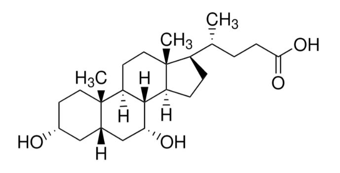 CHENODEOXYCHOLIC ACID 96% (25G)