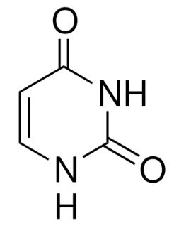 URACIL 99%  (5 G) 