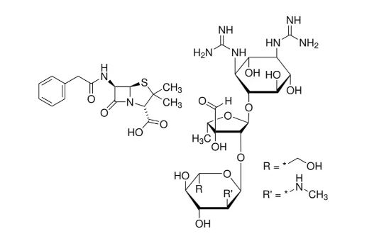 PENICILLIN-STREPTOMYCIN (100)