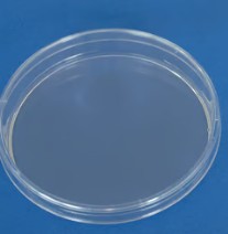 PLACA PETRI PLASTICO 60X14 3 VIENTOS ASEPTIC(1080)