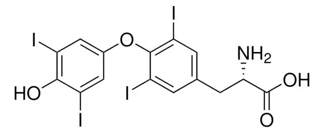 L-TIROSINA 98% HPLC (1)