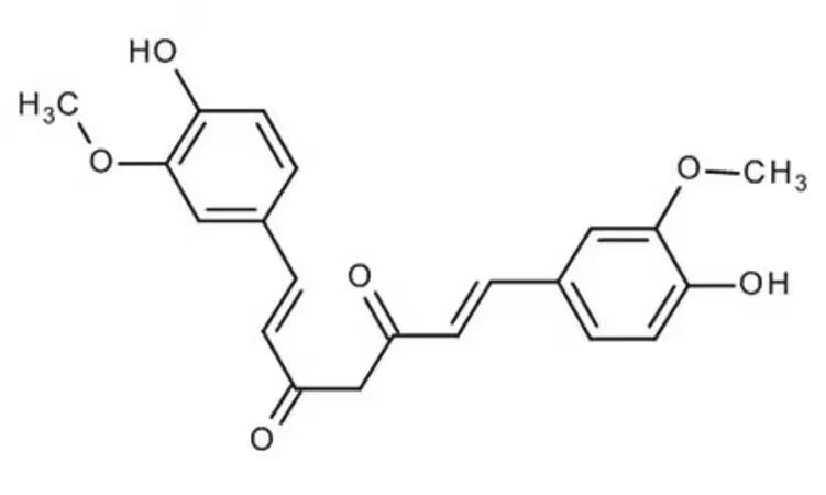 CURCUMINA PS (2 G)