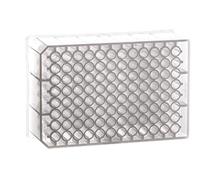 PLACA DEEP WELL MASTERBLOCK 1 mL PP F/U (50)