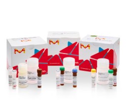 LACTOSE ASSAY KIT