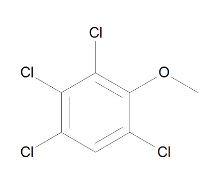 2,3,4,6-TETRACHLOROANISOLE (250MG)