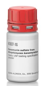 KANAMYCIN SULFATE F/STREPTOMYCES KANAMYCETICUS(1G)