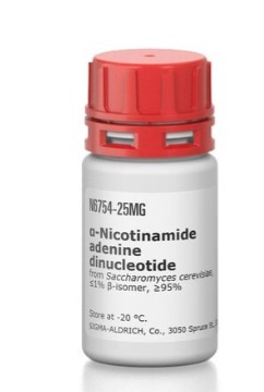 A-NICOTINAMIDE ADENINE DINUCLEOTIDE ≥95% (25MG)