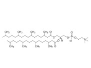 4ME 16:0 PC (25 MG)