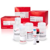 FLUOROMETRIC INTRACELLULAR ROS KIT