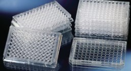 PLACA MICROTITER 96 POC. F/PLANO INMULON 4HBX (50)