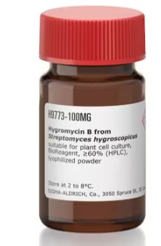 HYGROMYCIN B F/STREPTOMYCES HYGROSCOPICUS (100MG)