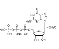 GIP (250MG)