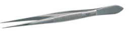 PINZA DISECCION 200MM RECTA PUNTA FINA 18/10