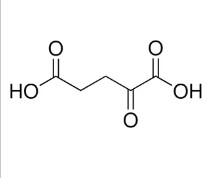 2-OXOGLUTARIC ACID (25G)