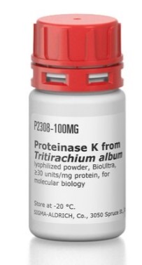 PROTEINASA K BIOULTRA (100MG)