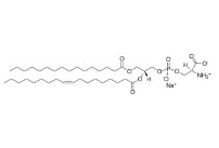 16:0-18:1 PS (POPS) (500 MG)