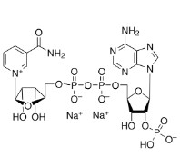 NADP-RO (1 G)