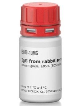 IgG FROM RABBIT SERUM (10MG)