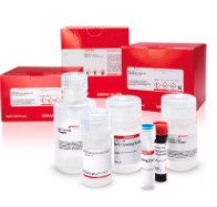 CATALASE ASSAY KIT