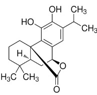 CARNOSOL (5MG)