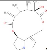 SENECIVERNINE 100 µG/ML IN WATER  (1 ML)