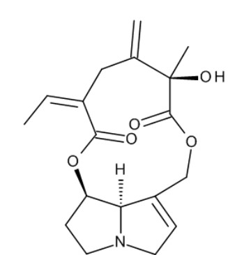 SENECIPHYLLINE 100 µG/ML IN WATER (1 ML)