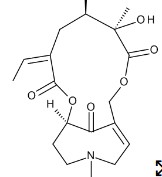 SENKIRKINE 100 µG/ML IN WATER (1ML)