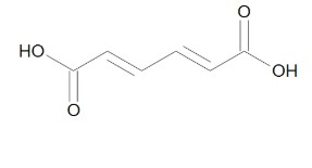 TRANS, TRANS-MUCONIC ACID (100MG)