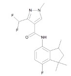 FLUINDAPYR (25MG)