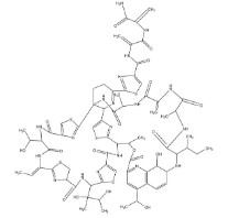 THIOSTREPTON ≥98% (HPLC) (1G)