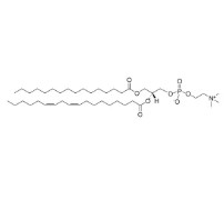 L-α-PHOSPHATIDYLCHOLINE 95% (SOY) (100G)