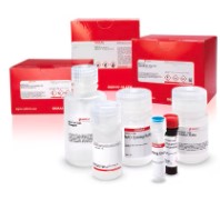 LACTATE (L-) ASSAY KIT