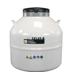CONTENEDOR NITROGENO 95L C/6 RACKS ACERO INOX.