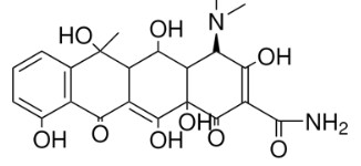 TERRAMYCIN (50MG)