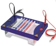 CUBETA ELECTROFORESIS HORIZONTAL MIDI PLUS ME15-15