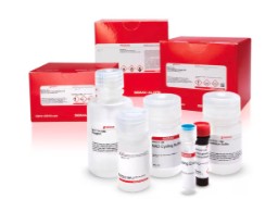 UREA ASSAY KIT
