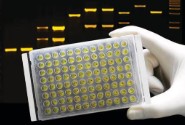 LAMINA ADHESIVA PCR (100)