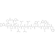 [Leu15]-GASTRIN I HUMAN (0.1 MG)