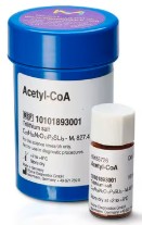 ACETIL-COENZIMA A 85% (50MG)