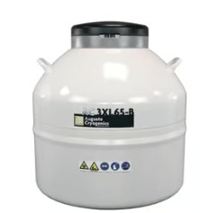 CONTENEDOR NITROGENO 65 L C/6 RACKS ACERO INOX.